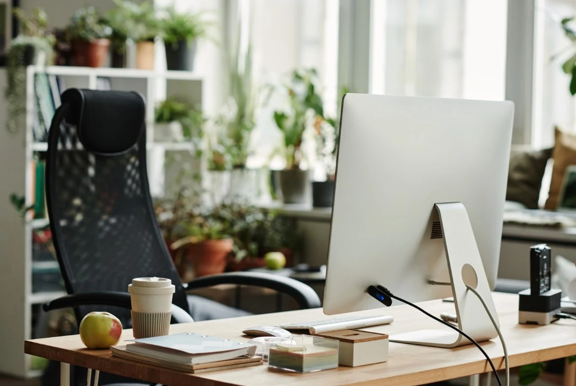 A home workspace with a desk, monitor and plants by the window